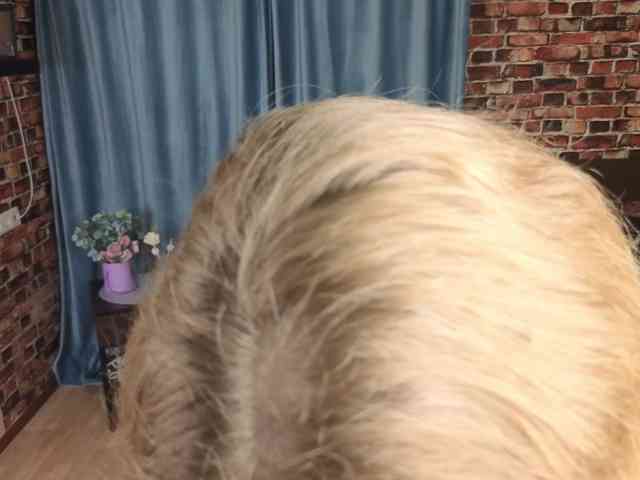 Tralalelotralalaa webcam