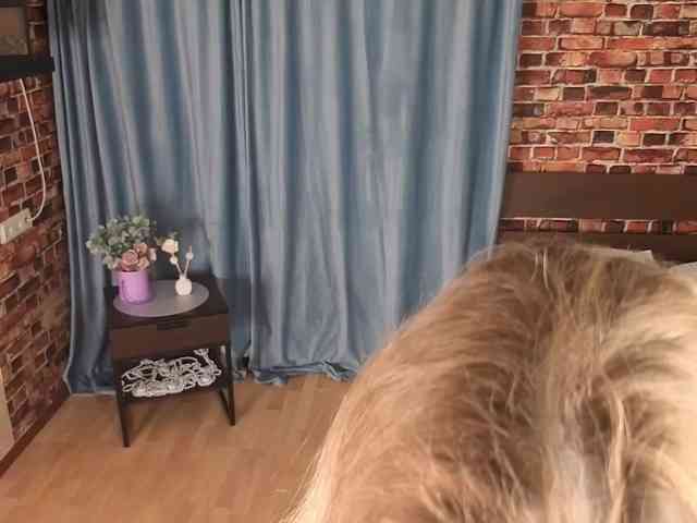 Tralalelotralalaa webcam