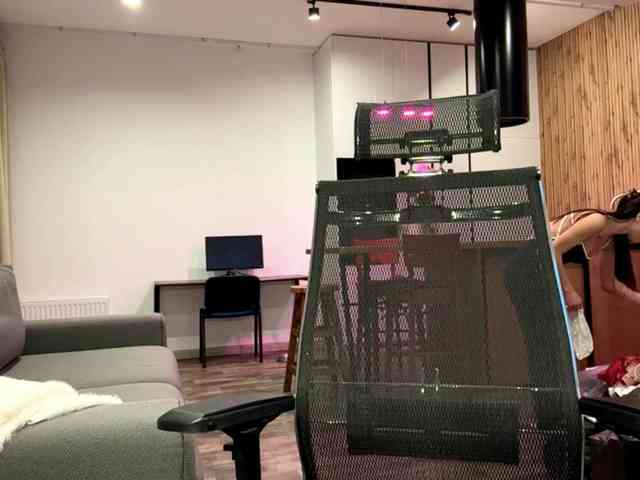 CherishColter webcam