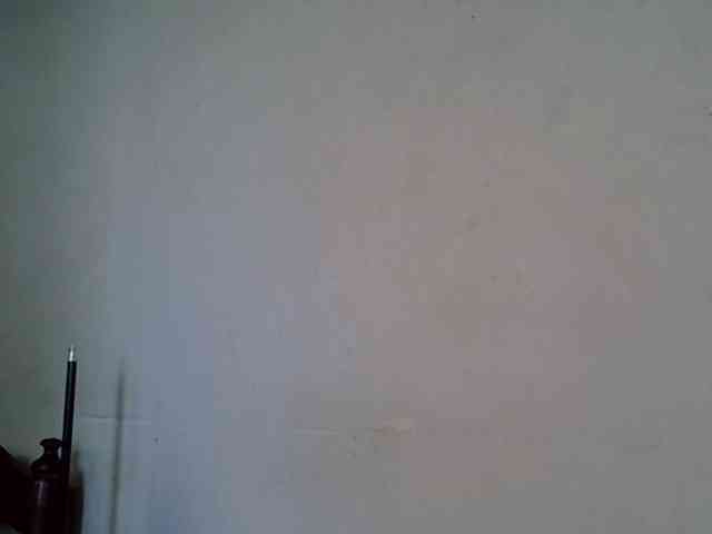 SpicyMackenzie1 webcam