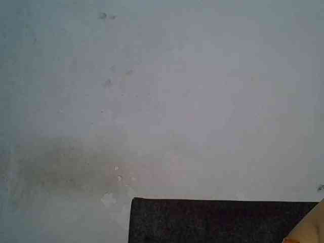 SpicyMackenzie1 webcam