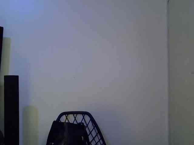 SpicyMackenzie1 webcam