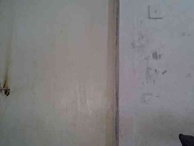 SpicyMackenzie1 webcam