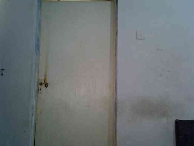 SpicyMackenzie1 SpicyMackenzie1