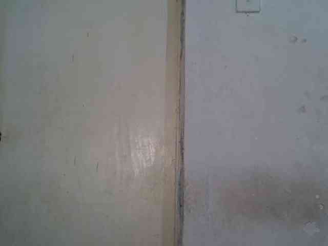 SpicyMackenzie1 webcam