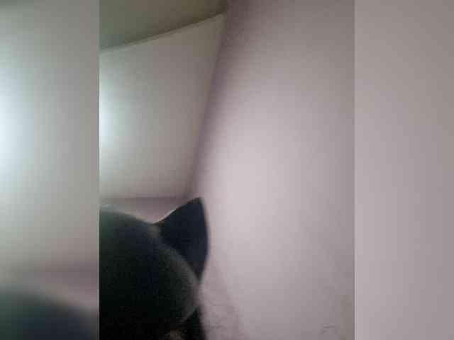 NoRules-Duo00 webcam