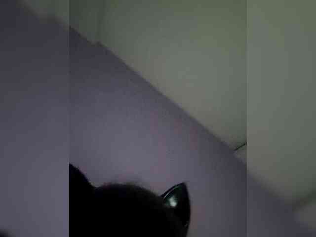 NoRules-Duo00 webcam