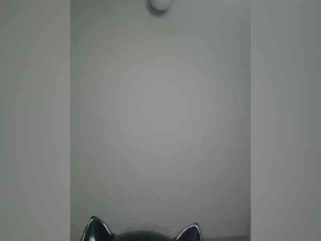 NoRules-Duo00 webcam