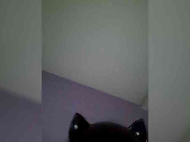 NoRules-Duo00 webcam