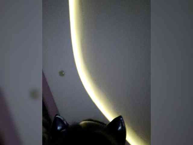 NoRules-Duo00 NoRules-Duo00