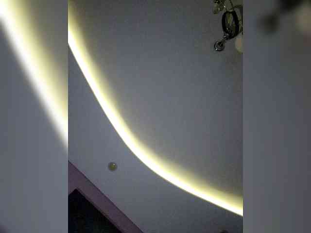 NoRules-Duo00 webcam