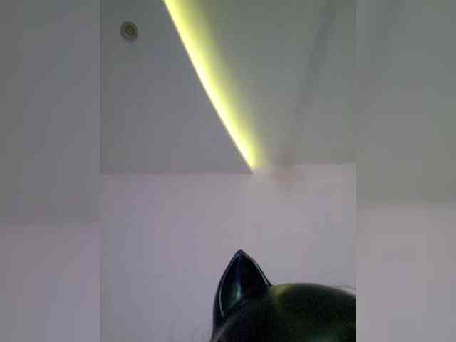 NoRules-Duo00 webcam