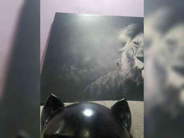 NoRules-Duo00 webcam