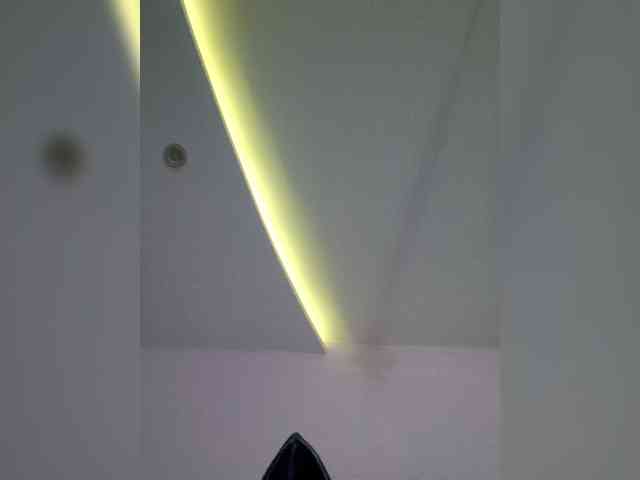 NoRules-Duo00 webcam