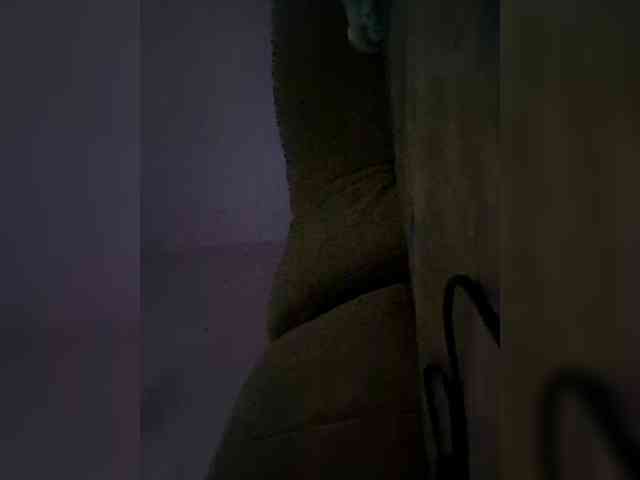 NoRules-Duo00 webcam