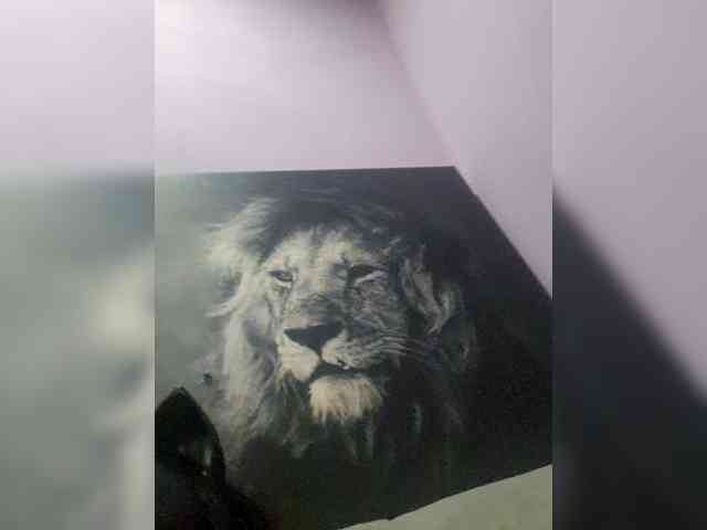 NoRules-Duo00 webcam