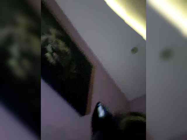 NoRules-Duo00 webcam