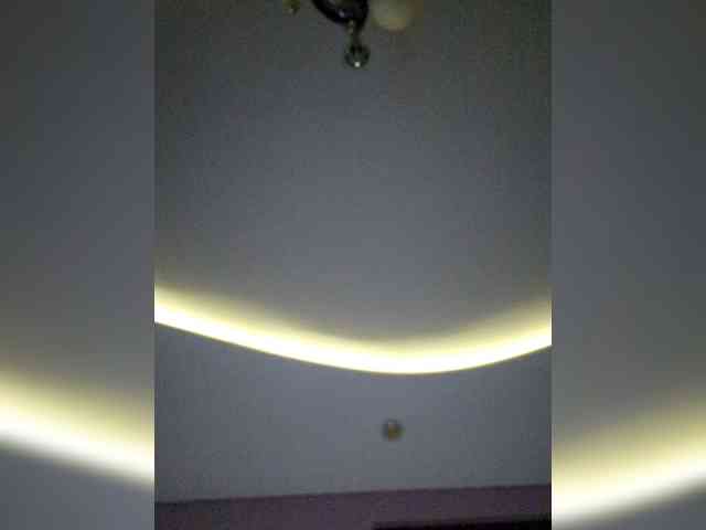 NoRules-Duo00 webcam