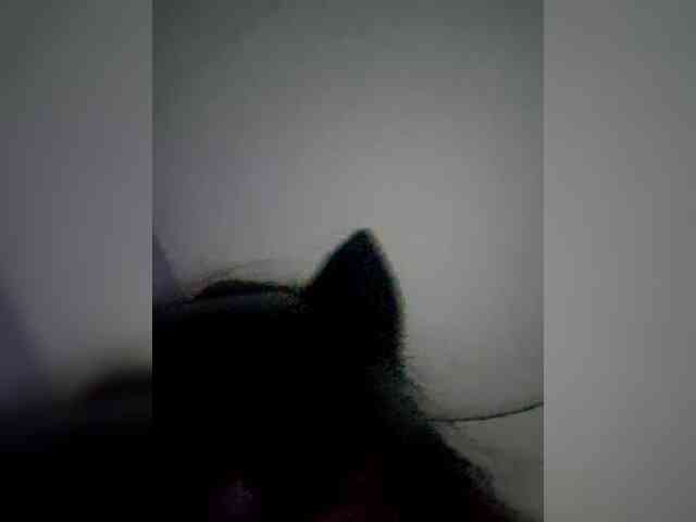 NoRules-Duo00 webcam