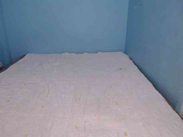 Mariestellah05 webcam