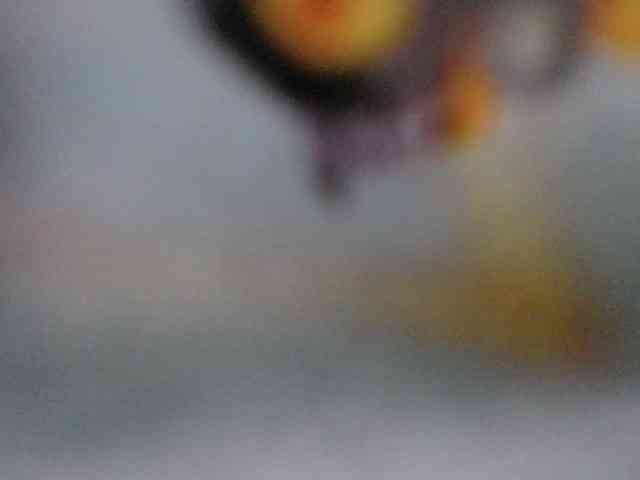 Mariestellah05 webcam