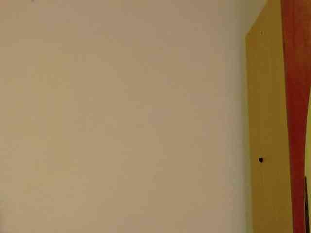 WithinTemptation webcam