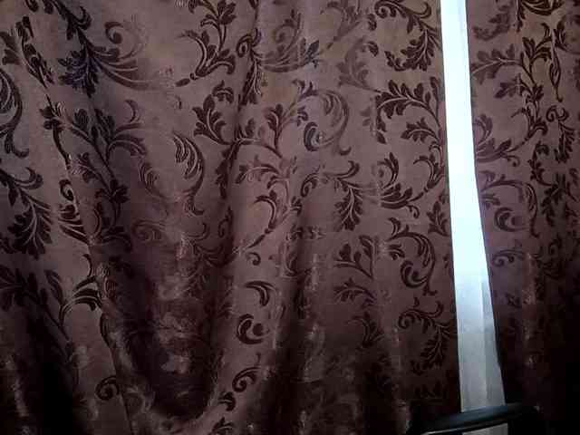 DavidSchatzel webcam