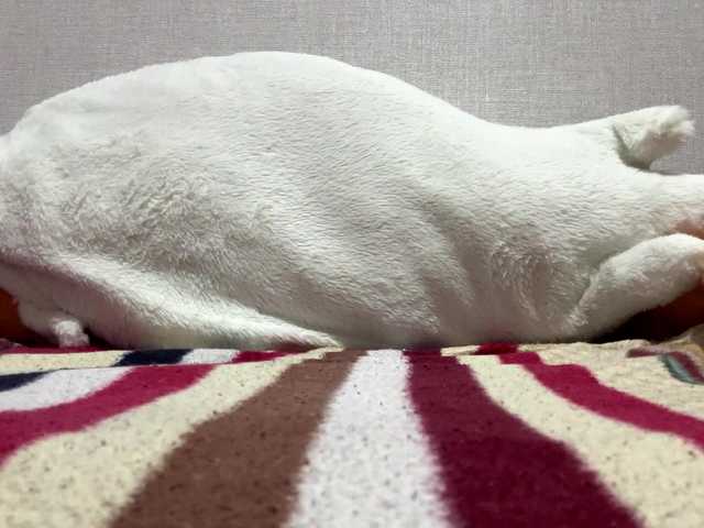 Preview of softglitch