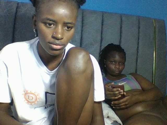 Panthers4-1 webcam stream