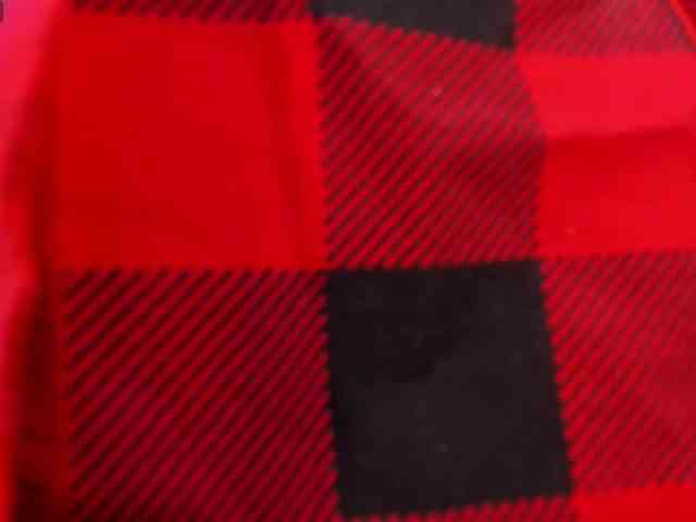 CarolineEvans webcam