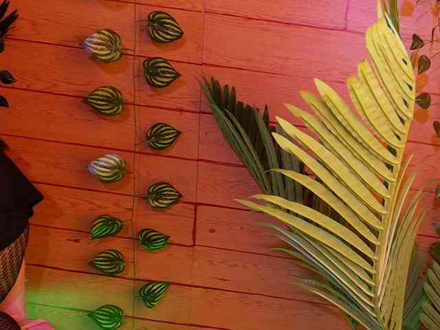 Mikaela-Joness webcam