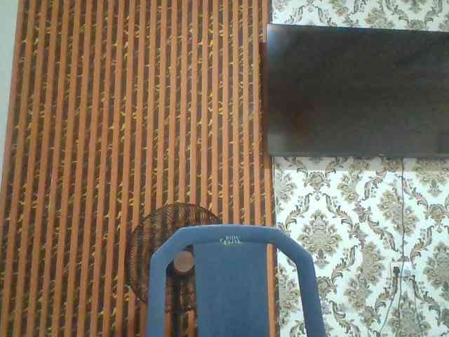 Nastiecumlover webcam