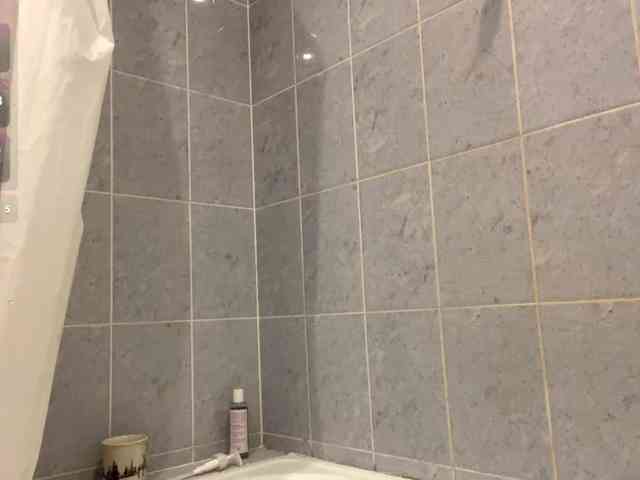 AdellaDalponte Live Webcam on BongaCams