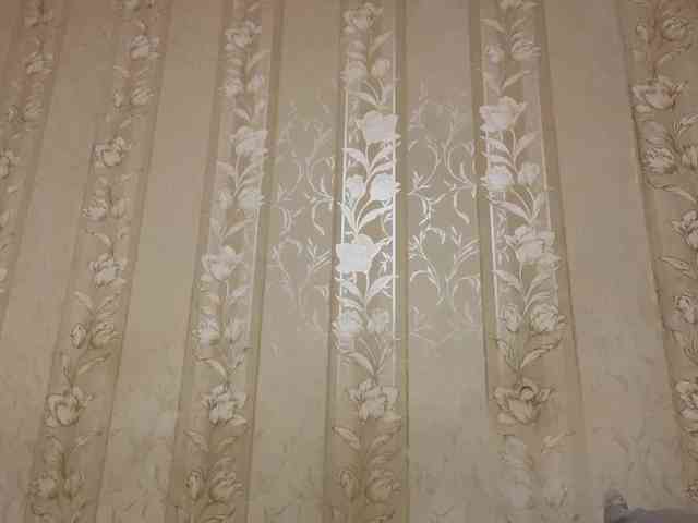 AdellaDalponte webcam