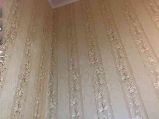 AdellaDalponte webcam