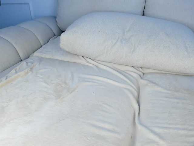 JeniKim's BongaCams show and profile