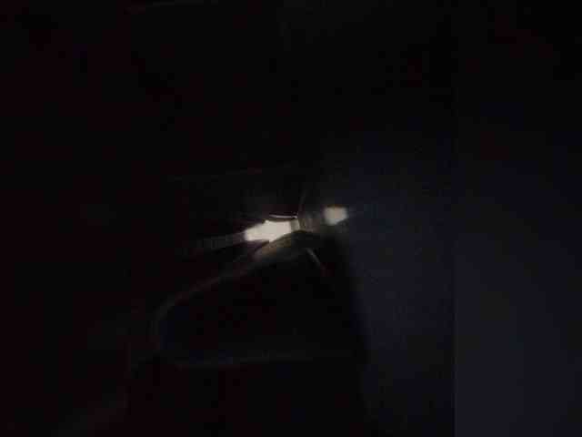 Toni090882 Live Webcam on BongaCams