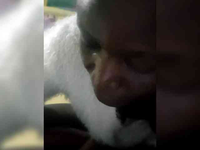 WendyHellens1 webcam