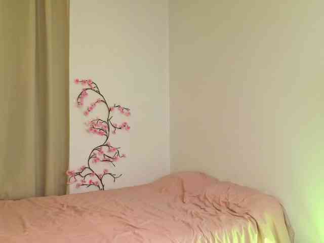 alisha-melison webcam