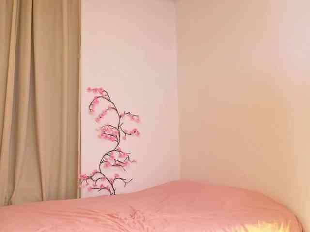 alisha-melison webcam