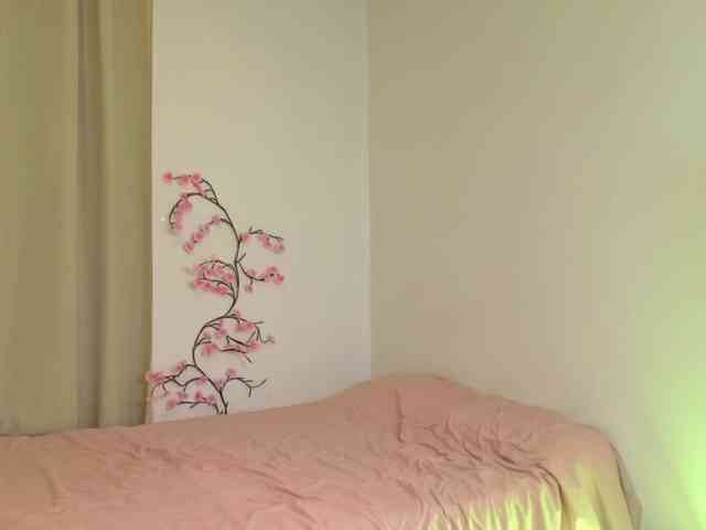 alisha-melison webcam