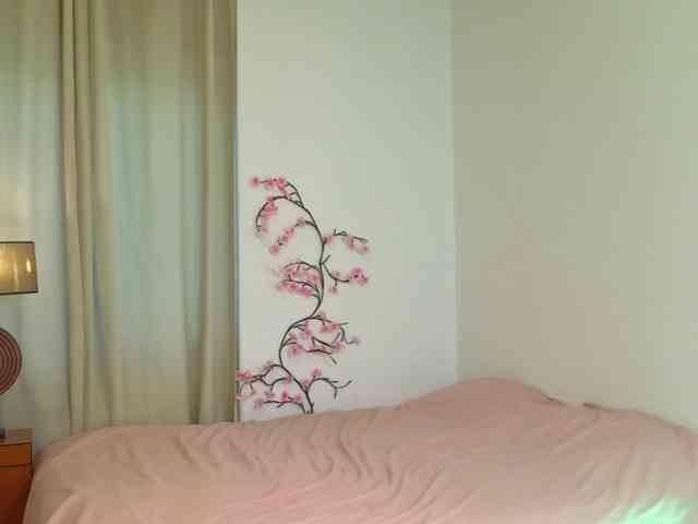 alisha-melison alisha-melison