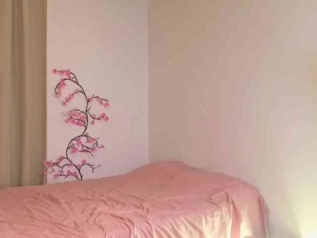 alisha-melison webcam