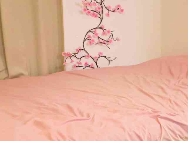 alisha-melison webcam