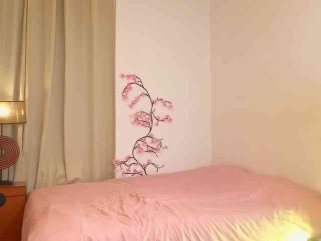 alisha-melison webcam