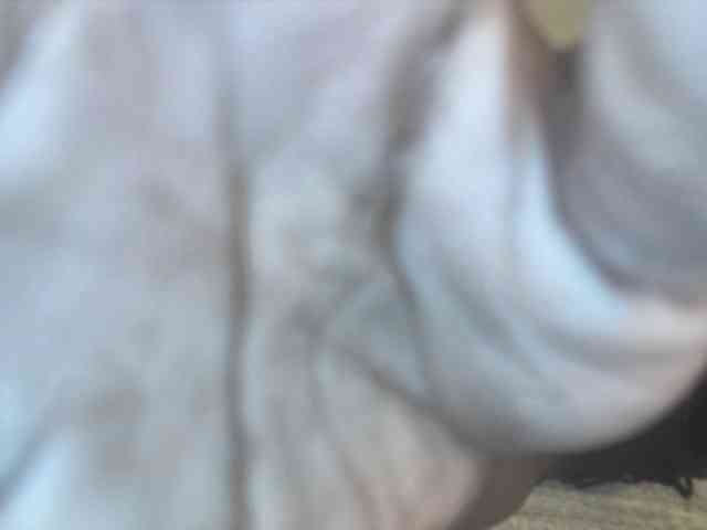 Sexylina25 Sexylina25