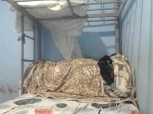 LoveHeartAsia webcam