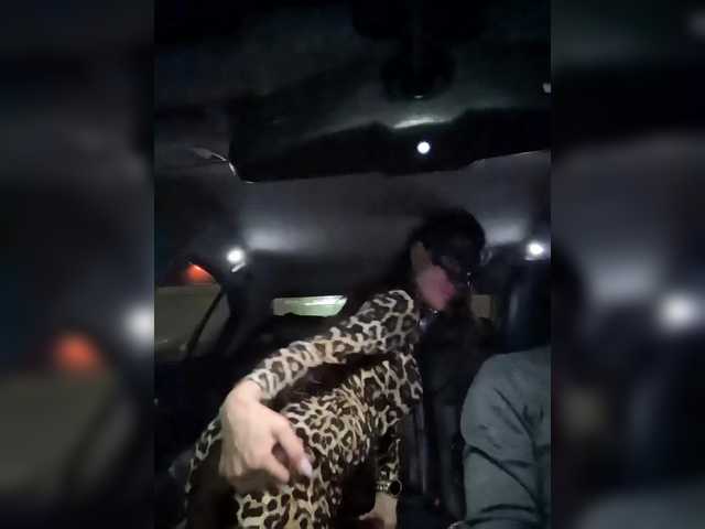 Bez-tormozov cam profile