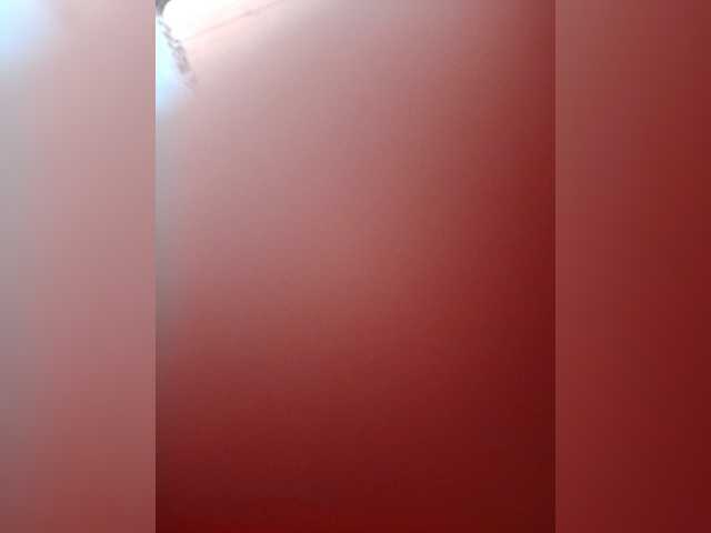 Lionessa webcam stream