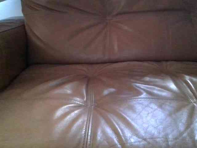 foxfuckerbr1 foxfuckerbr1